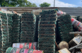 PHÊ LIỆU DIỆP CHI PHÁT