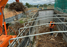 BIẾN ĐỘNG GIÁ PHẾ LIỆU THÁNG 7/2025