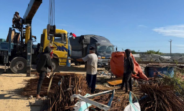 Thu mua sắt xây dựng công trình giá cao ở Phú Quốc